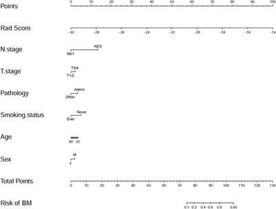 Pretreatment Thoracic CT Radiomic Features to Predict Brain Metastases in Patients With ALK-Rearranged Non-Small Cell Lung Cancer